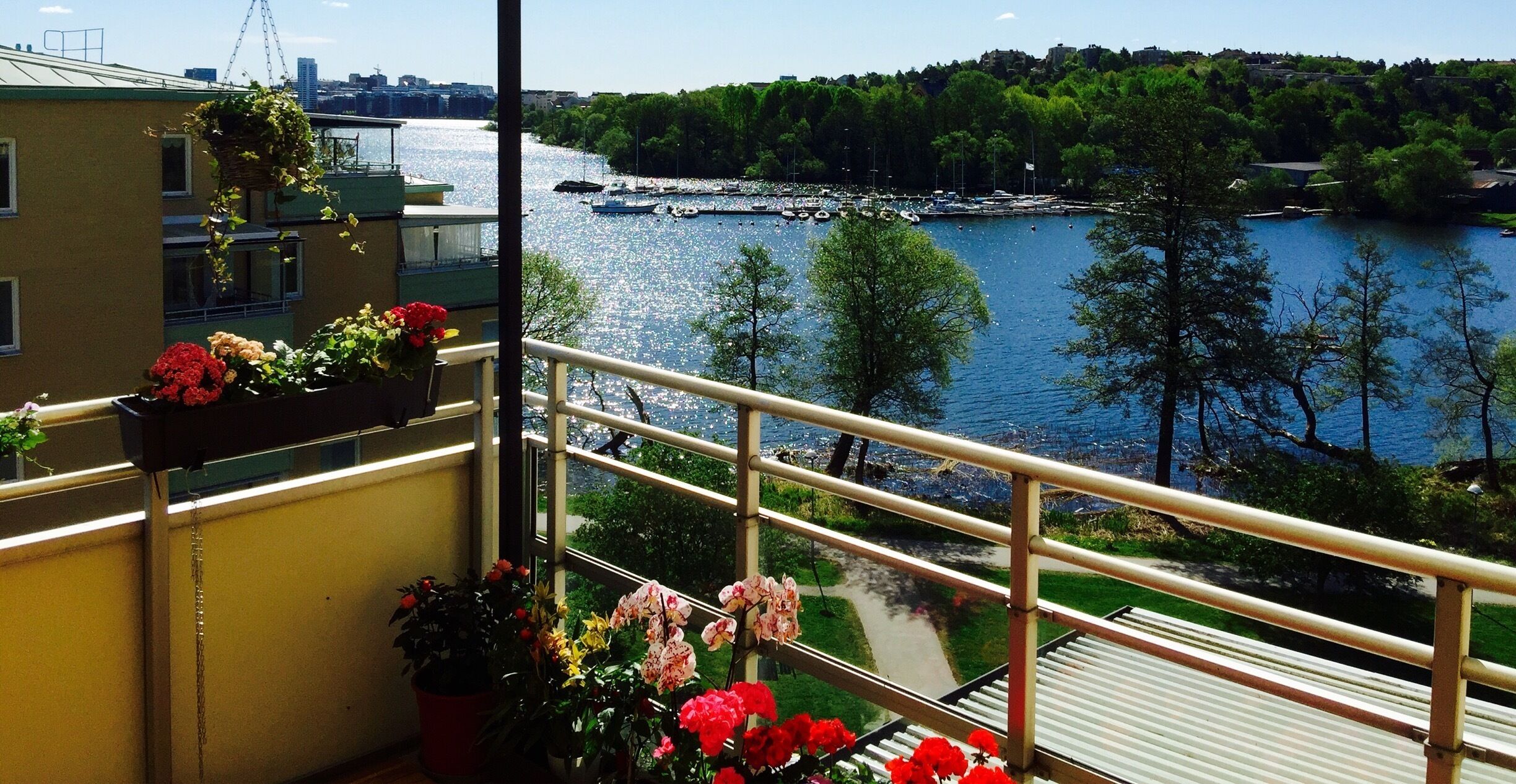 A balcony with potted flowers overlooking a river with boats and a forested hillside.