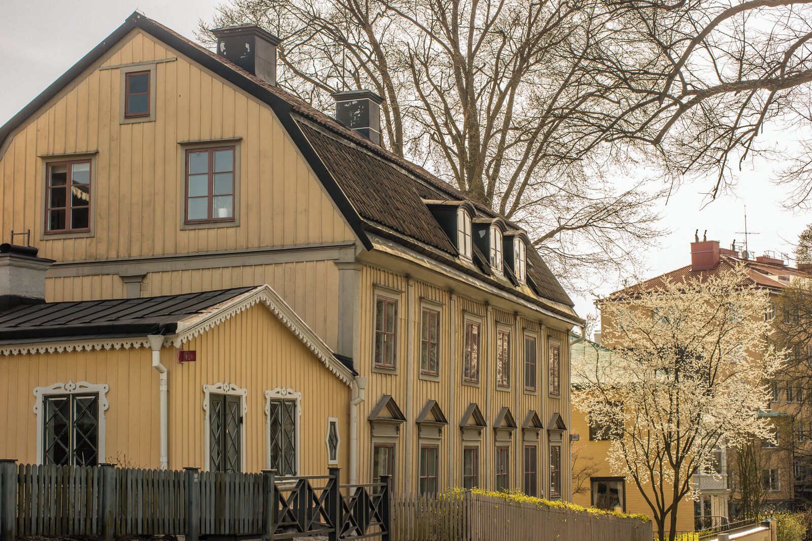 Royal Djurgården Park
