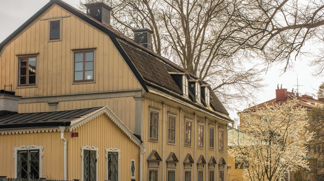 Royal Djurgården Park