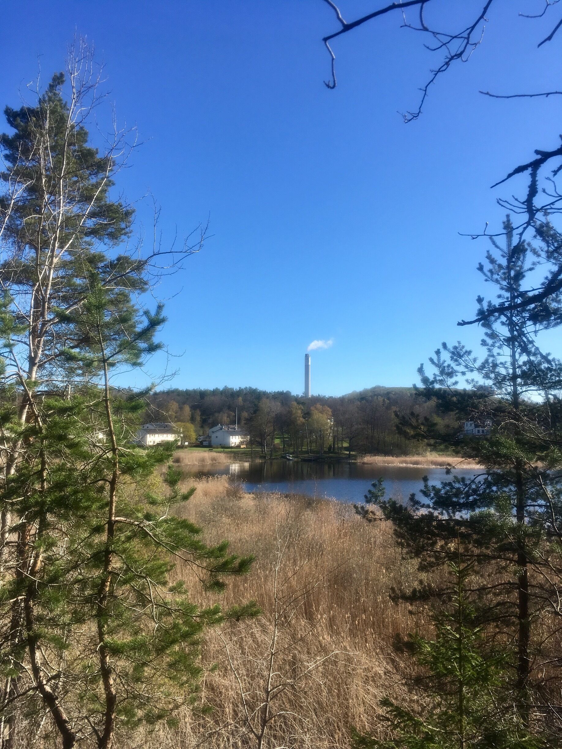 A lake surrounded by trees and a distant smokestack.