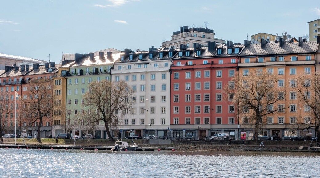 Karlbergskanalen is surrounded by trees and green spaces. Much of the character of the northern shore is dependent of the park of the nearby Karlberg Palace and the recreational space surrounding it.