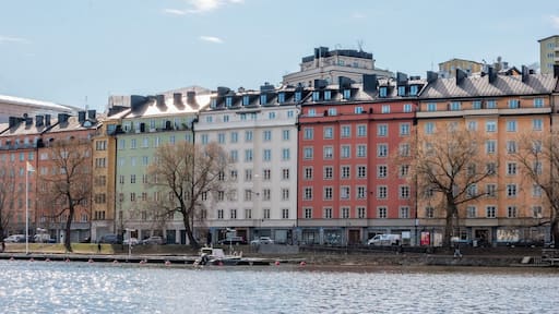 Karlbergskanalen is surrounded by trees and green spaces. Much of the character of the northern shore is dependent of the park of the nearby Karlberg Palace and the recreational space surrounding it.