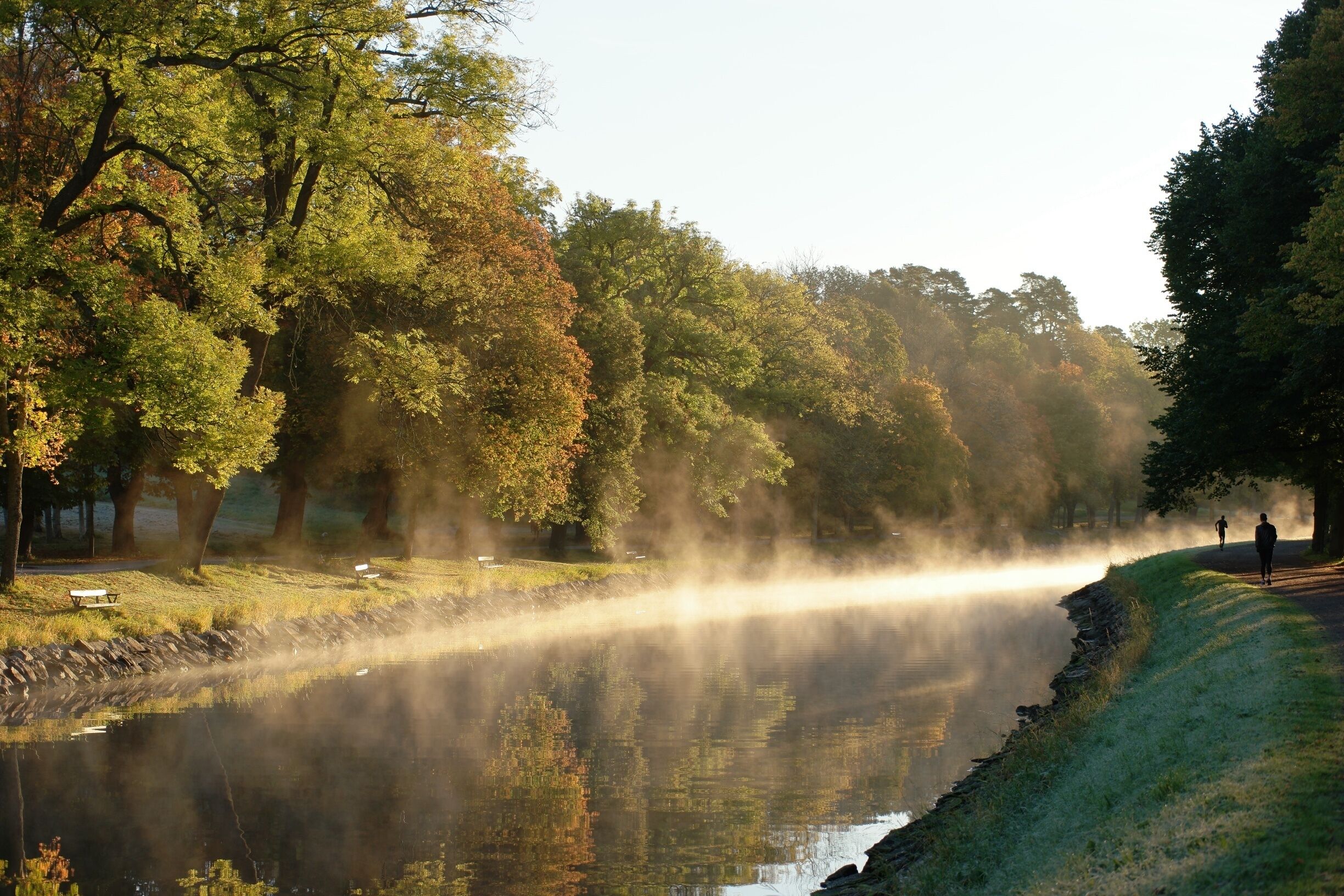 The morning hours at Djurgården, where you will find tranquility.