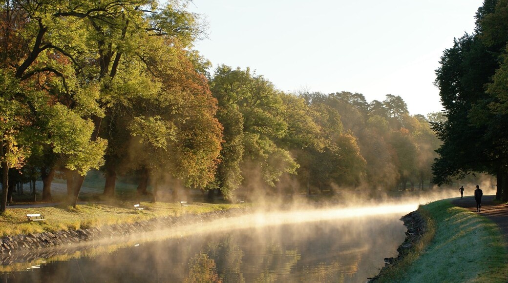 The morning hours at Djurgården, where you will find tranquility.
