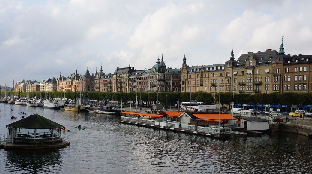 My view this morning