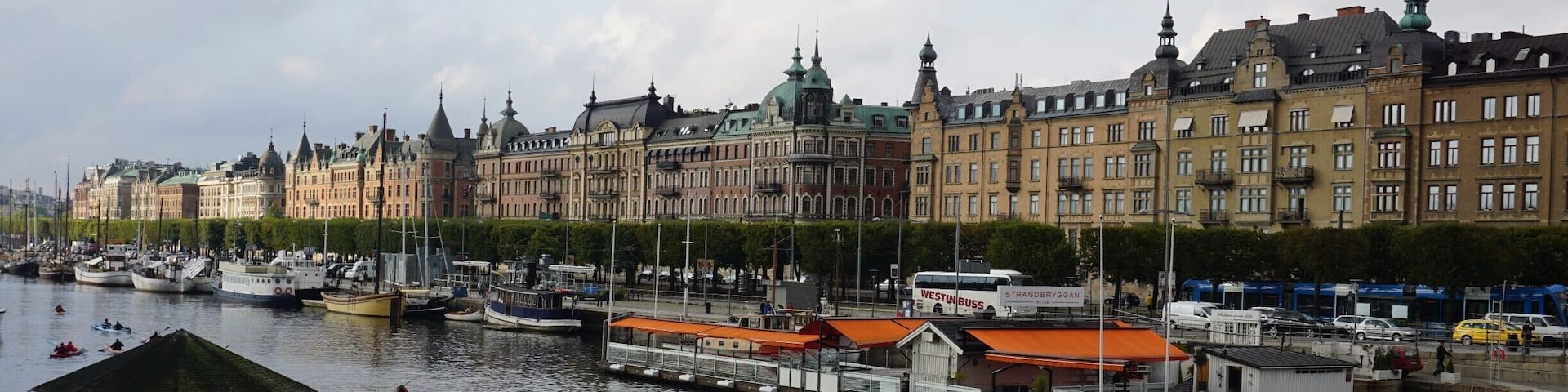 My view this morning