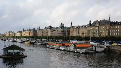 My view this morning