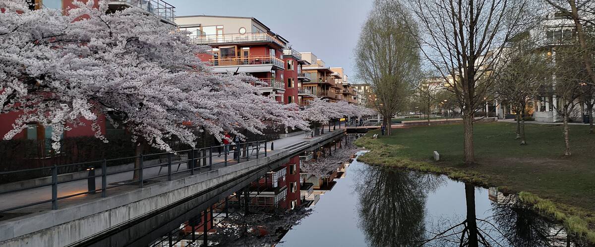 Spring in Stockholm