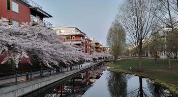 Spring in Stockholm
