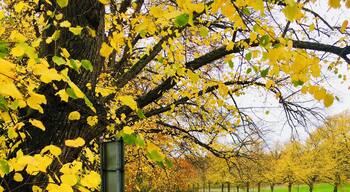 If ever in Stockholm, buy a take away coffee and take a stroll along the canal on Djurgården in Stockholm. Embrace the beautiful surroundings and breathe in the fresh air! #LifeAtExpediaGroup