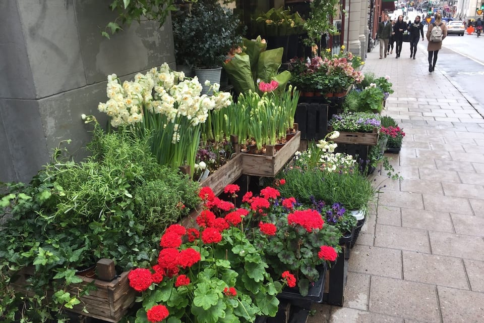Een bloemenmarkt met diverse planten en bloemen.