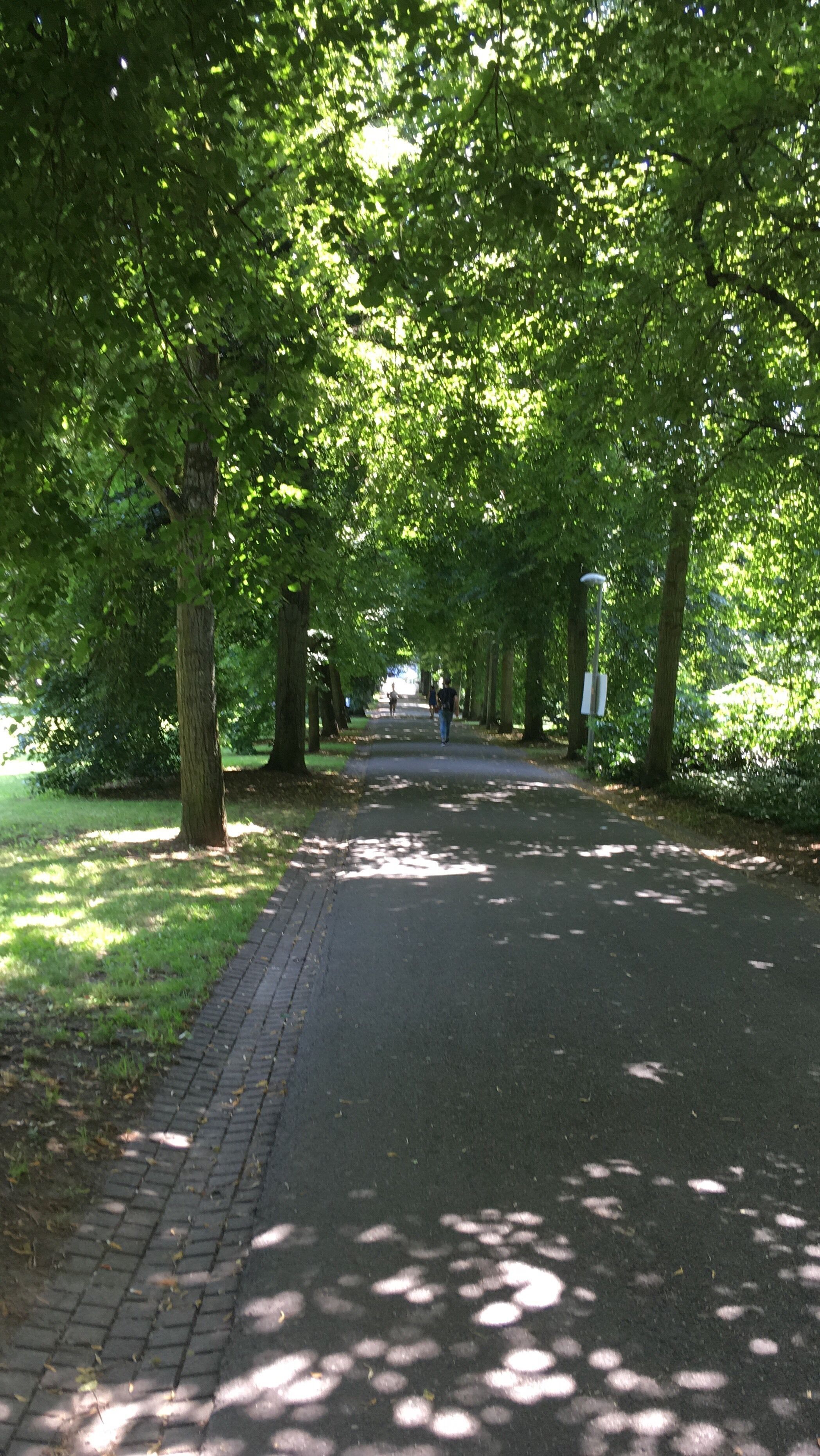 Park path between the Main Street and train station