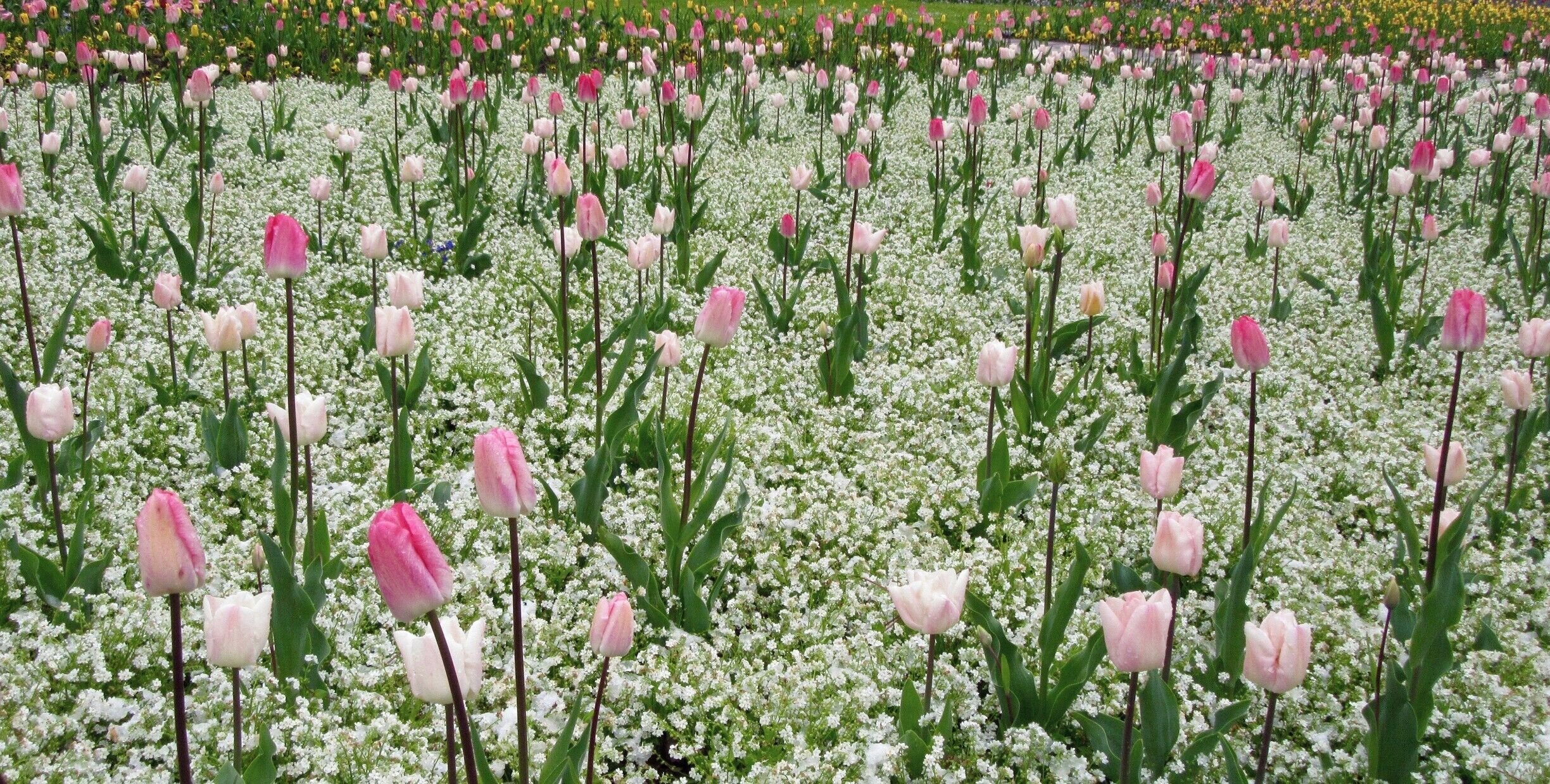 Beautiful gardens and mountain views right outside the tranquil city of Stuttgart, Germany.