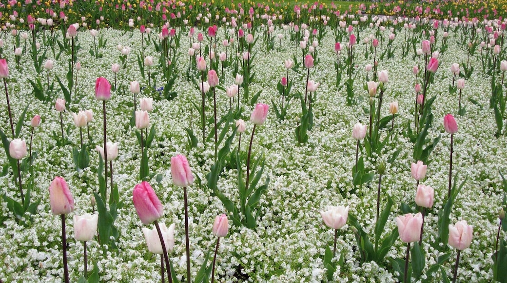 Beautiful gardens and mountain views right outside the tranquil city of Stuttgart, Germany.