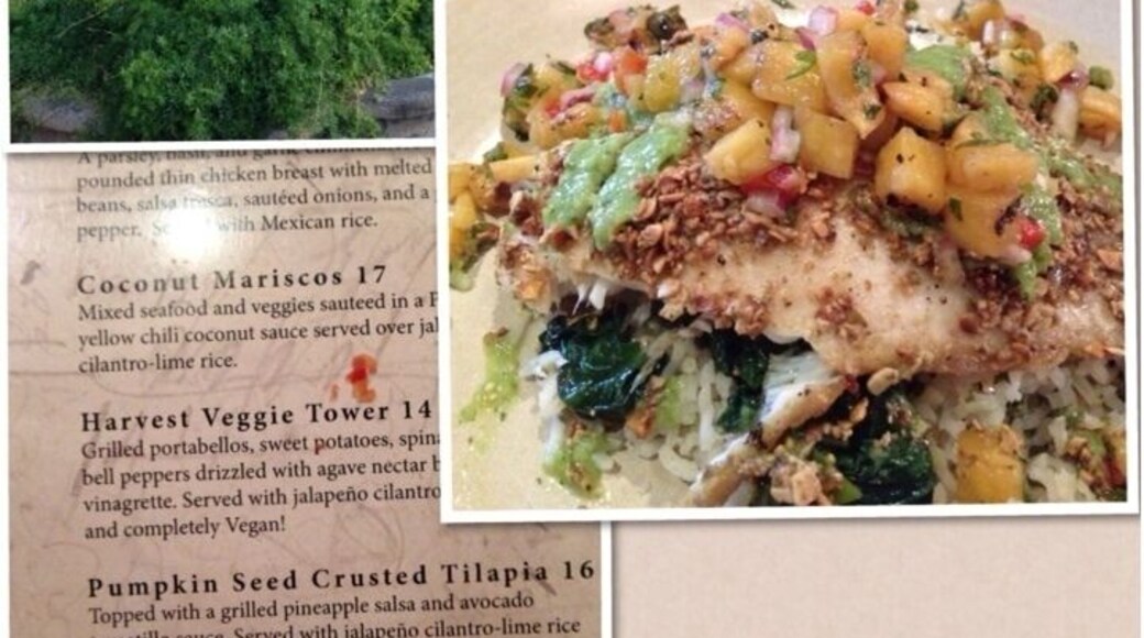 Excellent food in downtown Santa Rosa. I had the tilapia and my sister had the camarones ala diabla. Highly recommend this place.