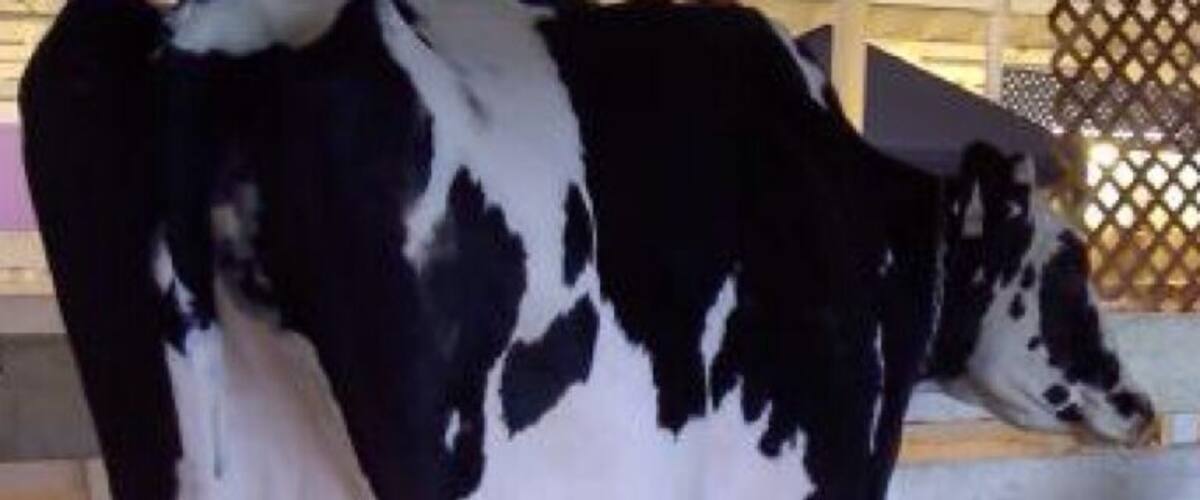 #barlove. To the Milk Bar Droogies!