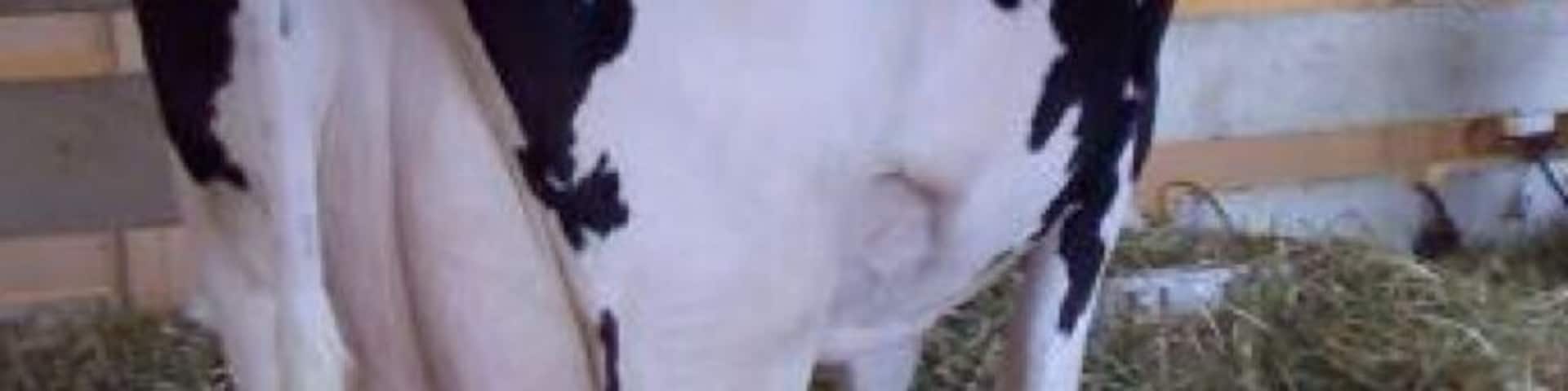 #barlove. To the Milk Bar Droogies!