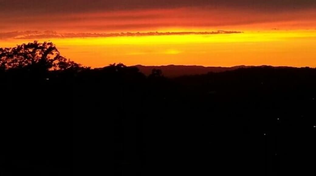 July 2013 Vietnam Vets Trail near bench. Entrance near Carissa (Drive?). Annadel State Park, Bennett Valley, Santa Rosa, CA