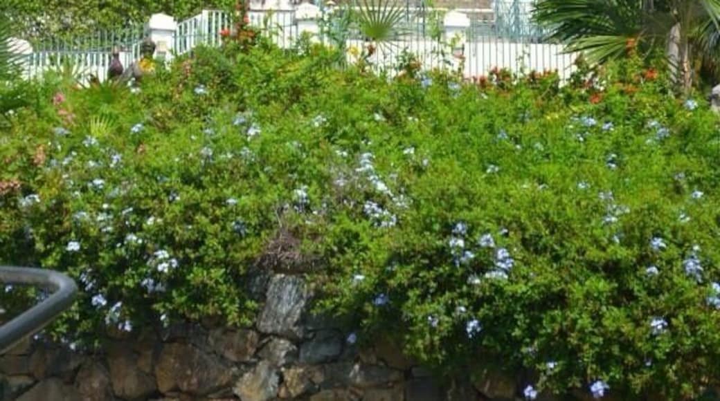 The Tower of Blackbeard's Castle in downtown Charlotte Amalie.