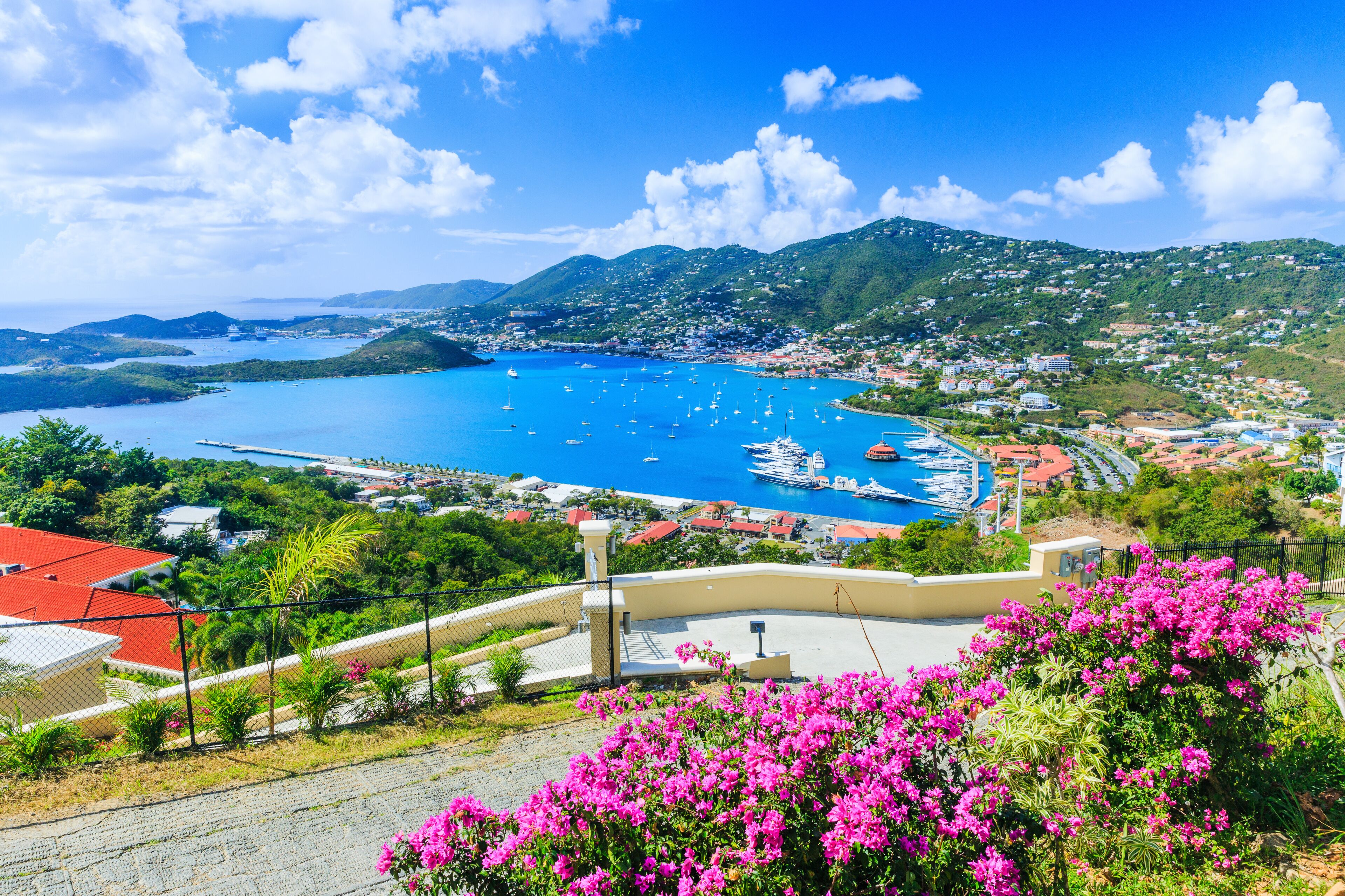 A coastal town with a marina, boats, and lush greenery.