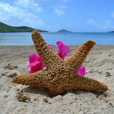 If you are looking for something romantic you can't Magens Bay. You can also see some sea turtles here. For real!