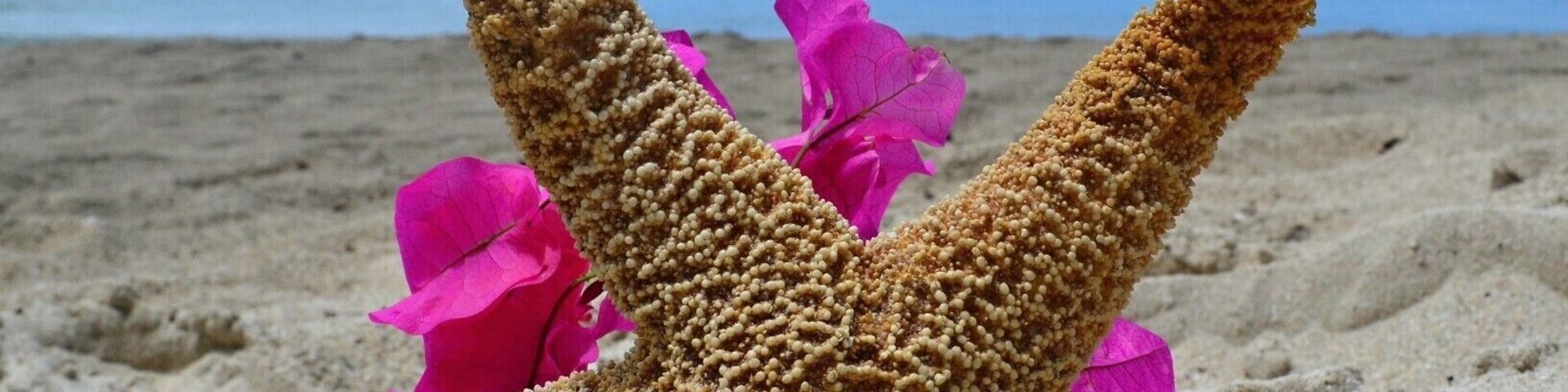 If you are looking for something romantic you can't Magens Bay. You can also see some sea turtles here. For real!