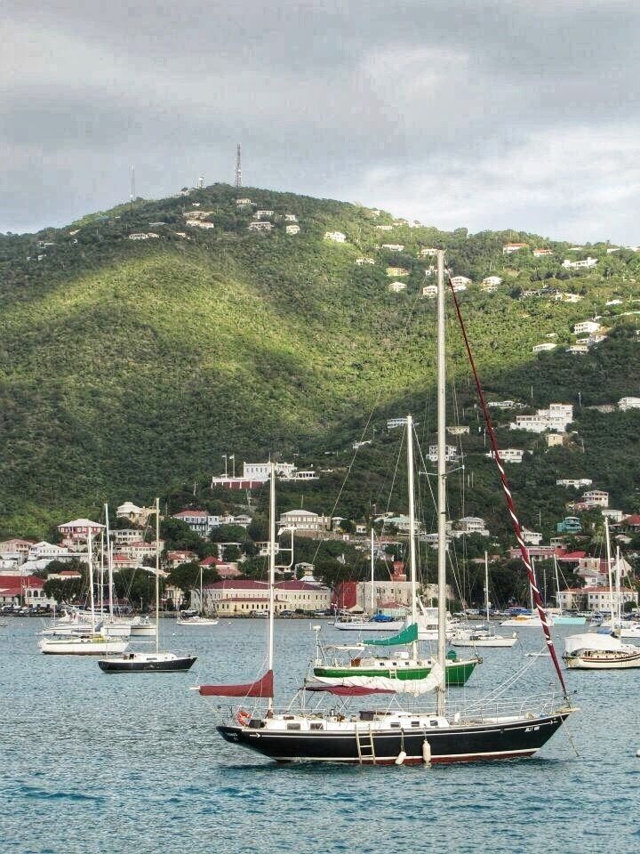 A harbor with multiple sailboats and a backdrop of a green hill with buildings.