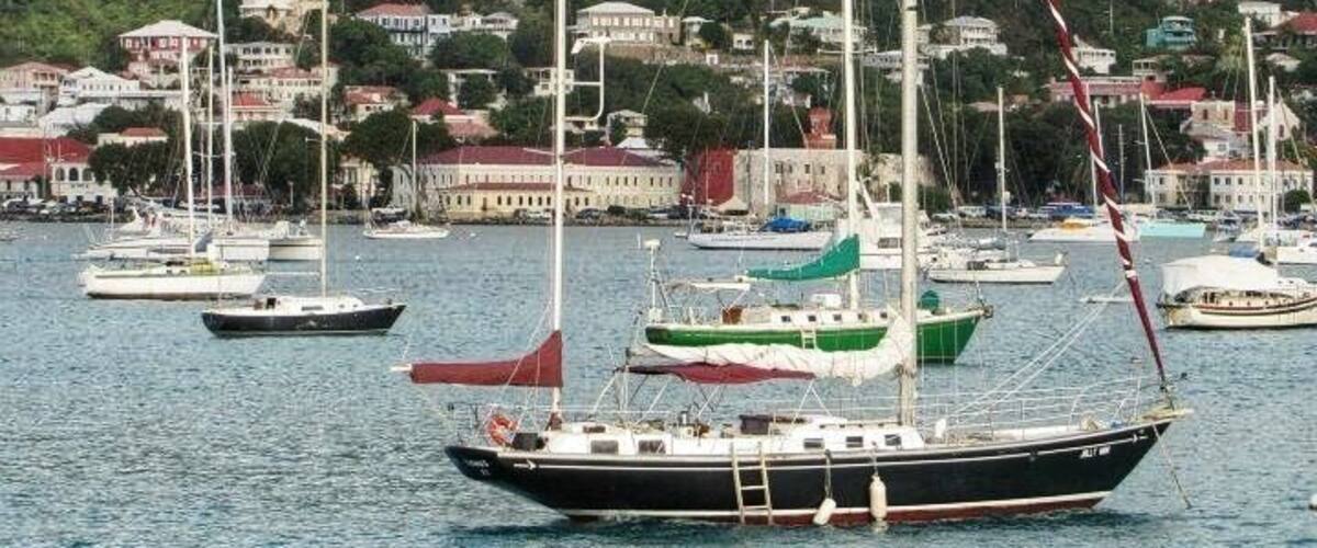 A harbor with multiple sailboats and a backdrop of a green hill with buildings.