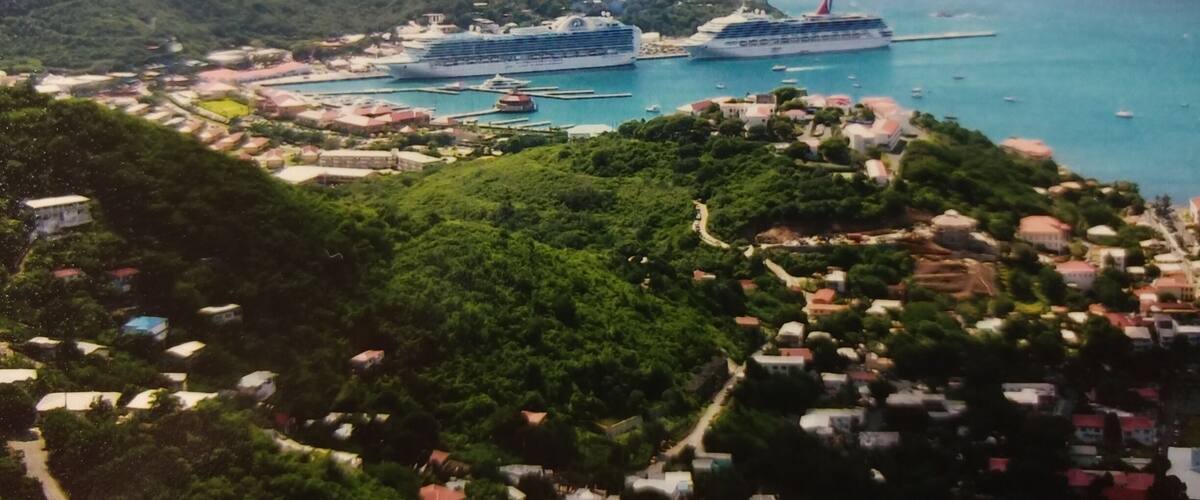 A coastal town with cruise ships docked, lush greenery, and a clear view of the sea.