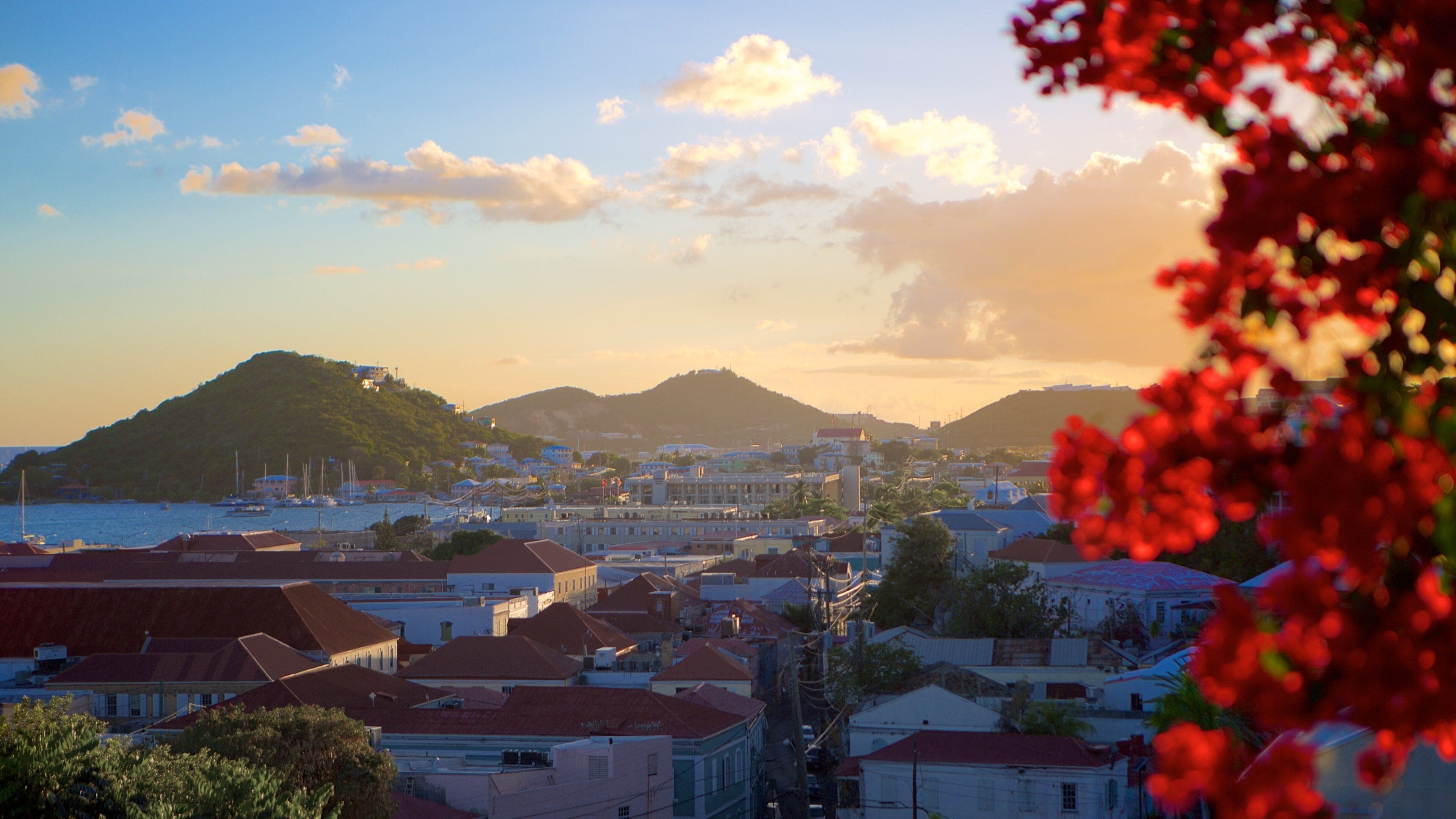 A coastal town with buildings, a harbor, and hills in the background.