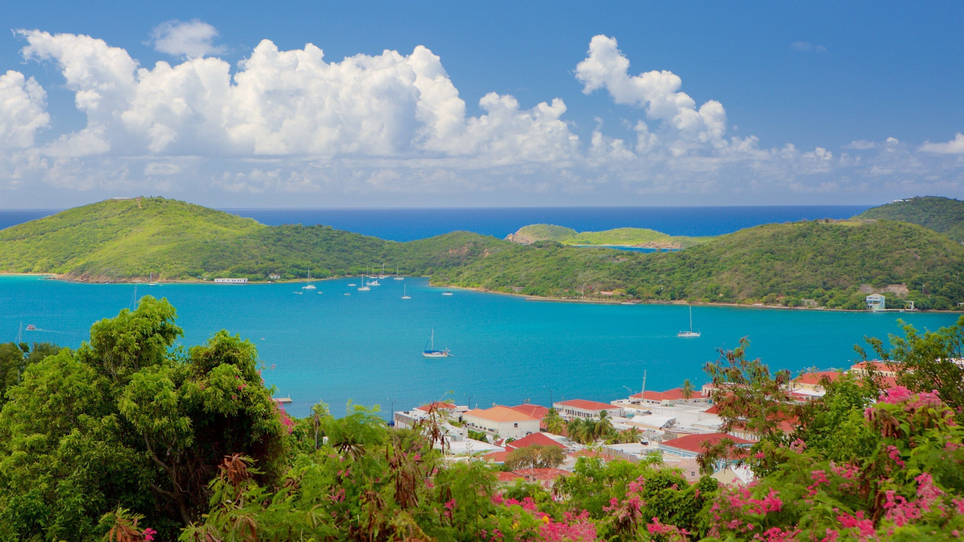 Charlotte Amalie which includes a coastal town and a bay or harbour