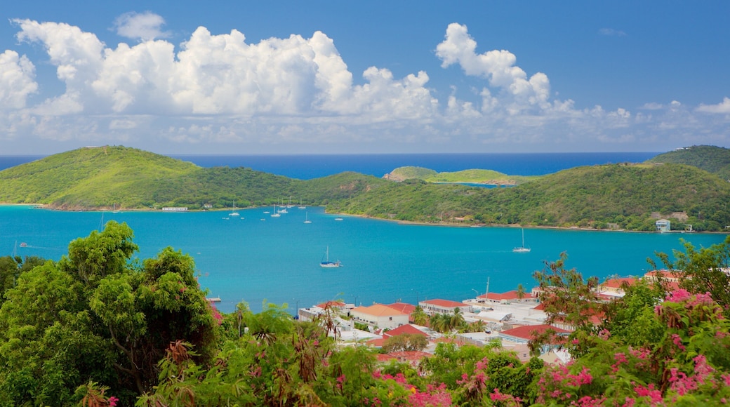 Charlotte Amalie which includes a coastal town and a bay or harbour