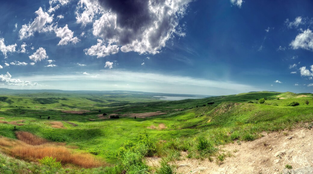 Flowers in the mountains. Russia, Stavropol.