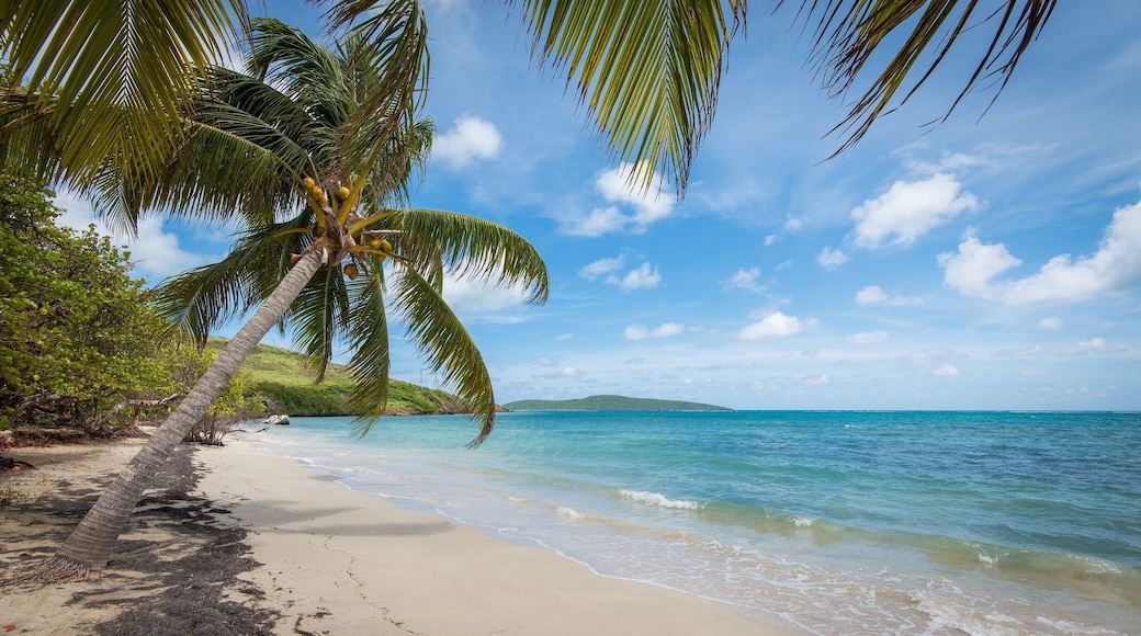 St. Croix USVI is true paradise