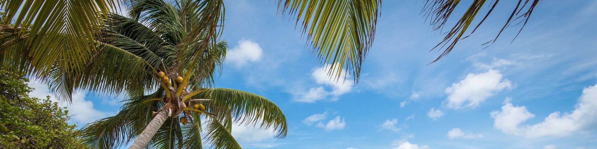 St. Croix USVI is true paradise