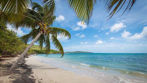St. Croix USVI is true paradise