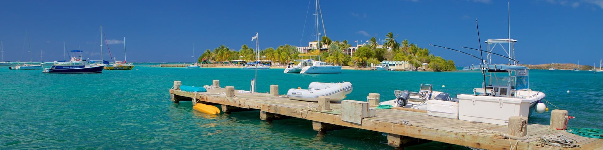 Christiansted mostrando vistas de una costa