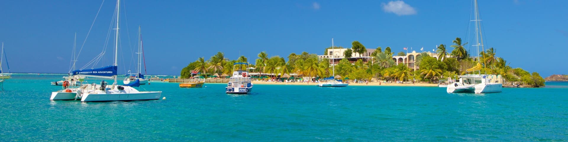 Christiansted showing general coastal views and island images