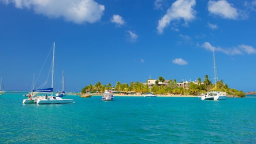 Christiansted showing general coastal views and island images