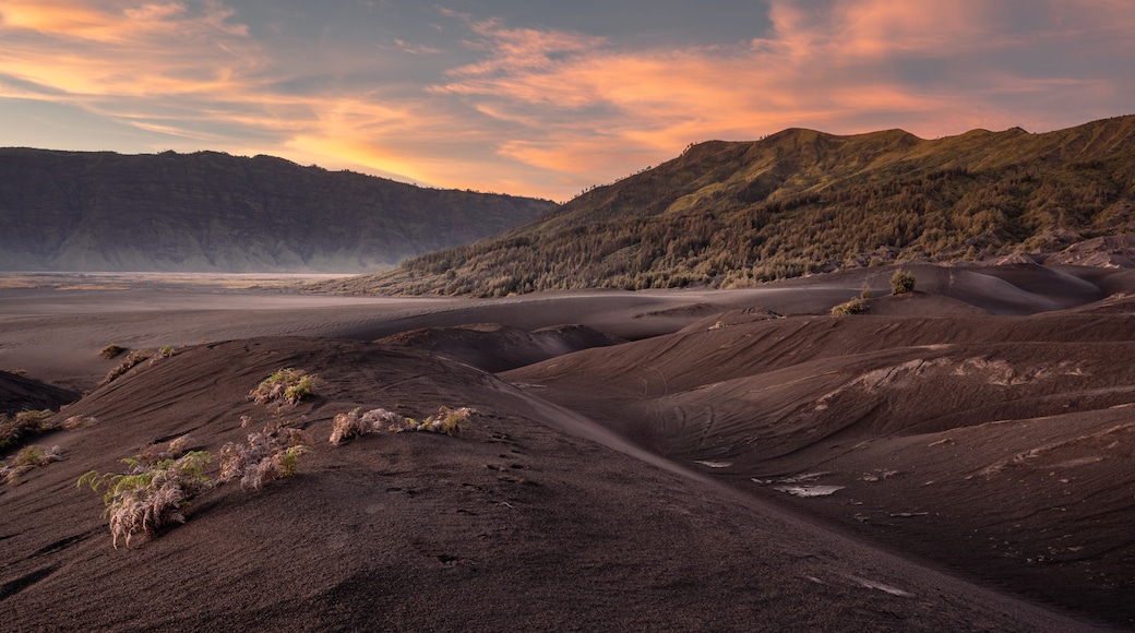 Bromo National Park, East Java, Indonesia - October 16, 2020 : View on the sand sea of Mount Bromo at sunrise with a colorful sky