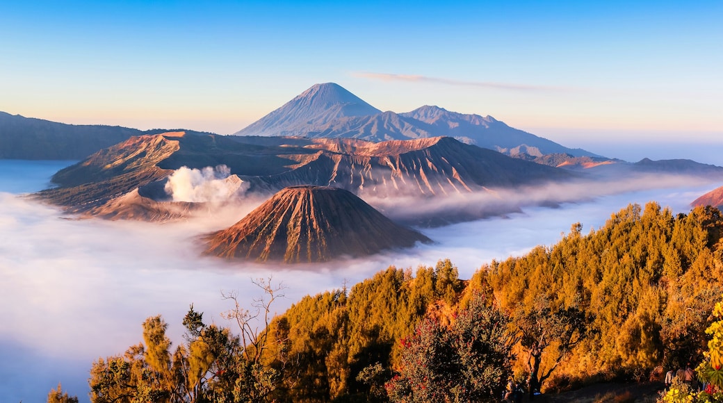 Panoramic of Mt.Bromo in Tengger Semeru National Park, East Java, Indonesia