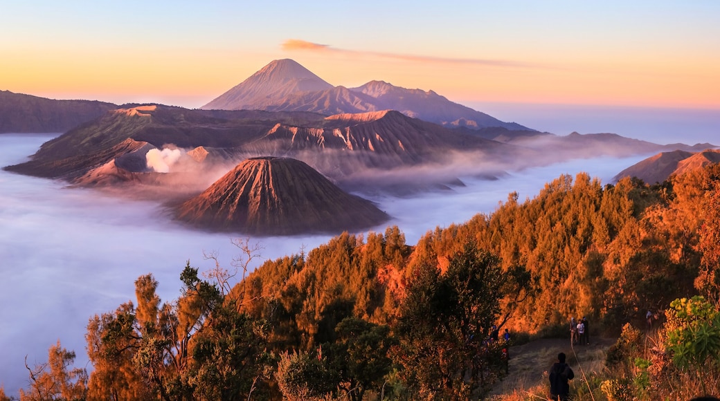 Panoramic of Mt.Bromo in Tengger Semeru National Park, East Java, Indonesia