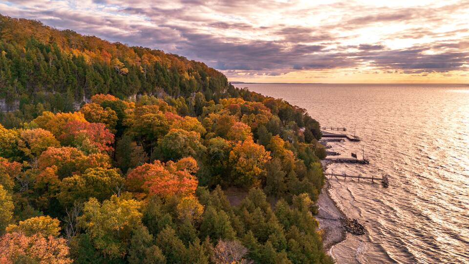 A coastal forest with autumn foliage, a rocky shoreline, and a sunset over the water.