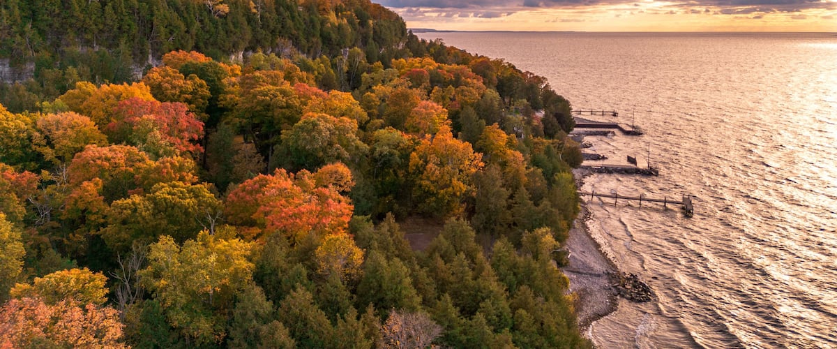 A coastal forest with autumn foliage, a rocky shoreline, and a sunset over the water.