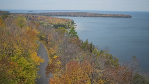 ستورجيون باي