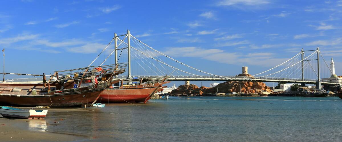 A coastal scene with a large suspension bridge, several boats, and rocky terrain.