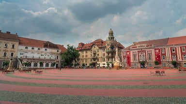 Piața Libertății another one of Timisoara's many amazing town squares.
Got a day to visit Timisoara? Check out my day guide: http://www.alwayswanderlust.com/a-day-in-timisoara-romania-little-vienna/