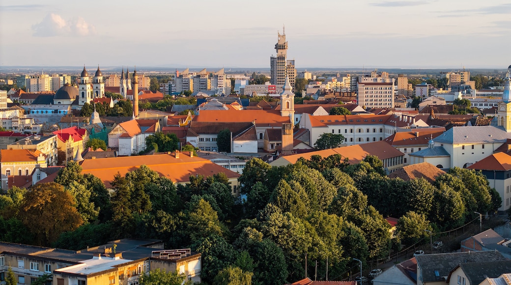 Scenic view of Satu Mare, a city in northern Romania.