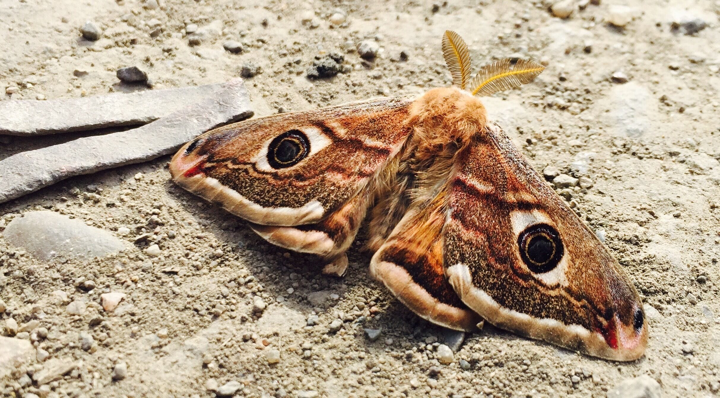 #SpringFun
Sping, everything is comming back to life!