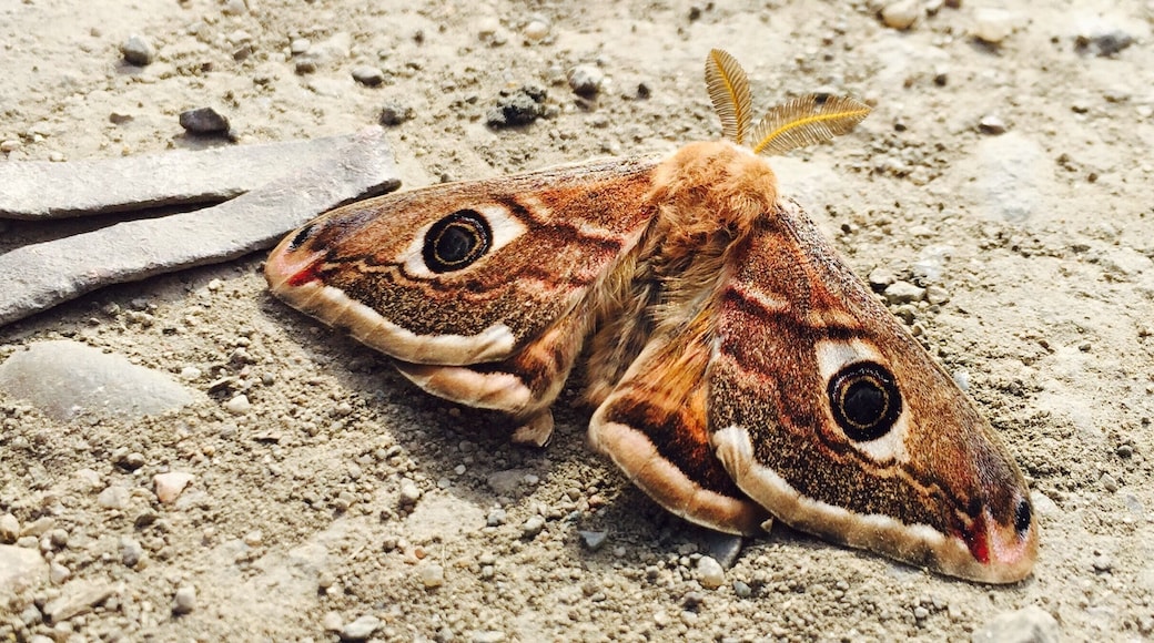 #SpringFun
Sping, everything is comming back to life!